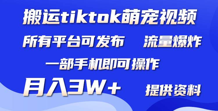 知行创业网 - 分享最新创业副业赚钱项目。 | 搬运Tiktok萌宠类视频，一部手机即可。所有短视频平台均可操作，月入3W+